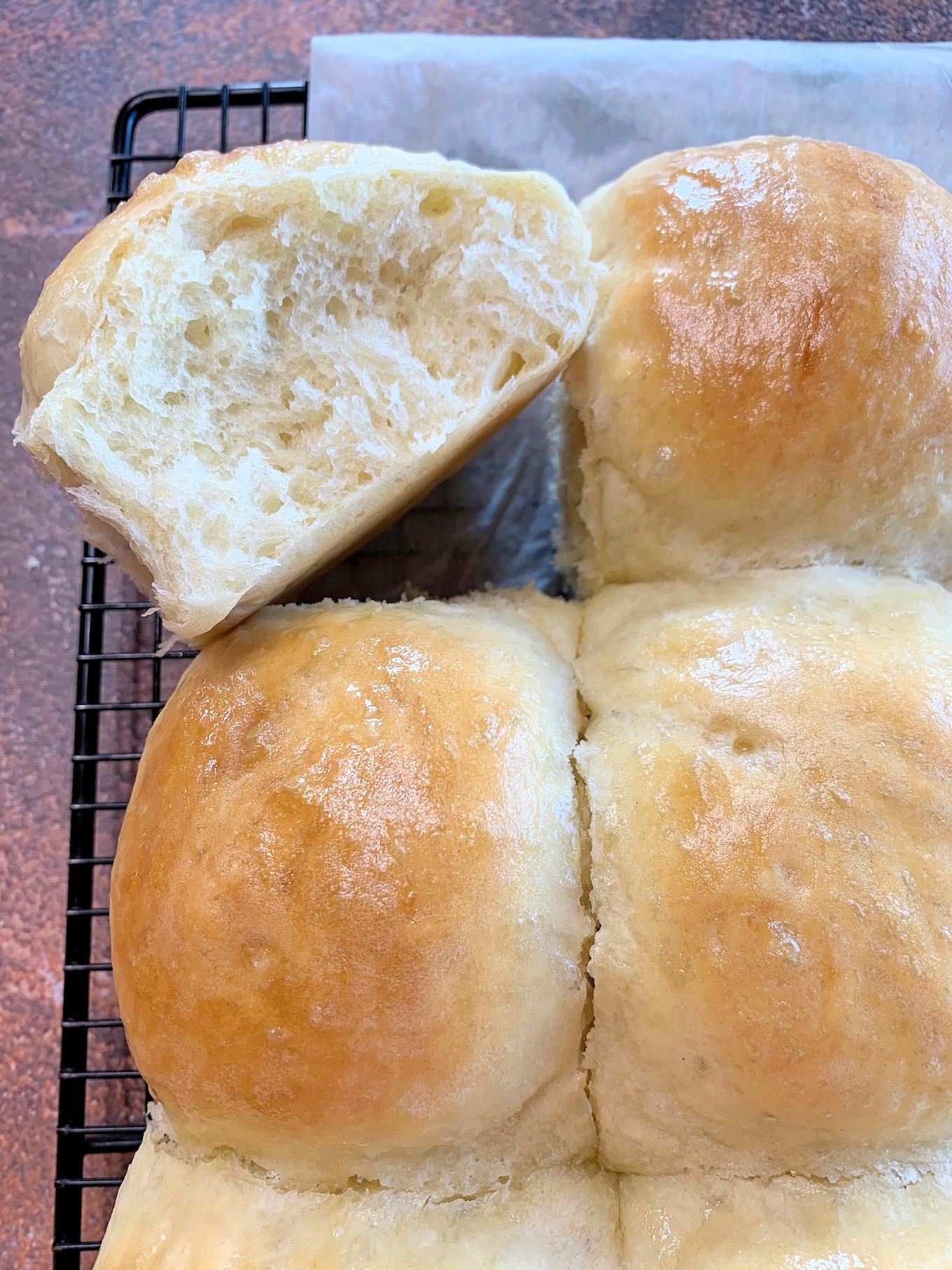 No-Knead Dinner Rolls - My Country Table