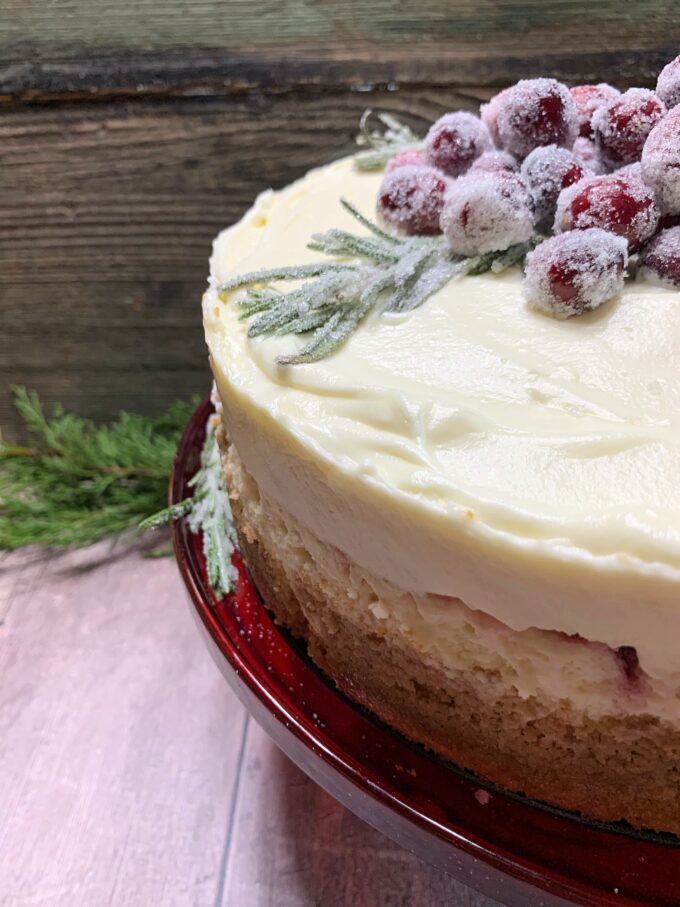 Cranberry White Chocolate Mousse Cheesecake on a red plate with sugared cranberries and rosemary sprigs on top.