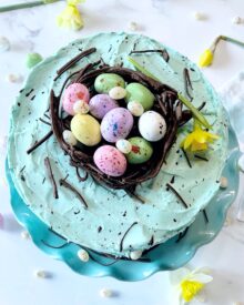 An overhead picture of a speckled Easter cake with a chocolate nest of eggs on top.